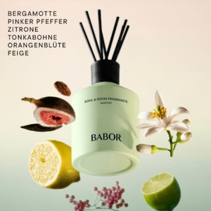 Soul & Room Fragrance Agathist